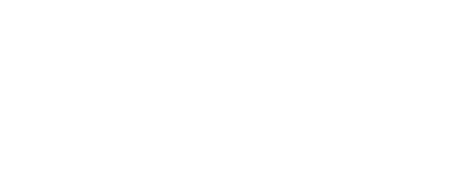 Project Wisdom 0